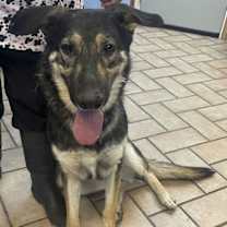 Thumbnail photo of Betty***Courtesy Post*** #2