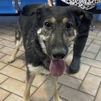 Thumbnail photo of Betty***Courtesy Post*** #4