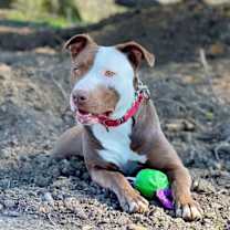 Thumbnail photo of Noah!! #1