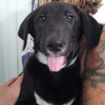 Thumbnail photo of Heidi #1