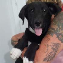 Thumbnail photo of Heidi #2