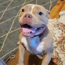 Thumbnail photo of Karma #1
