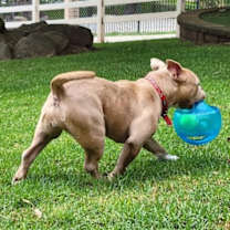 Thumbnail photo of Karma #3