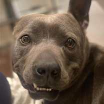 Thumbnail photo of Suki #2