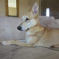 Thumbnail photo of WYLIE #1