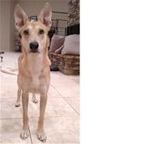 Thumbnail photo of WYLIE #2