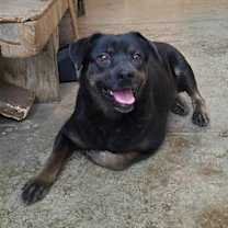 Thumbnail photo of Princess #2