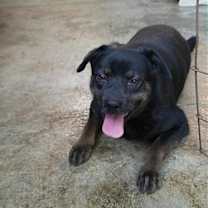 Thumbnail photo of Princess #3