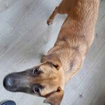 Thumbnail photo of Peeka #1