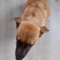 Thumbnail photo of Peeka #2