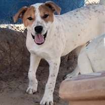 Thumbnail photo of TIMMY #1