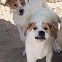 Thumbnail photo of TIMMY #2