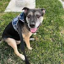 Thumbnail photo of Aubrey GG #3