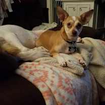 Thumbnail photo of Lil Man #4