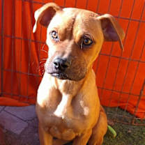 Thumbnail photo of Claudie #2