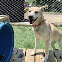 Thumbnail photo of Athena #1