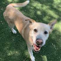 Thumbnail photo of Athena #2