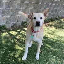 Thumbnail photo of Athena #3