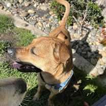 Thumbnail photo of Kiki #2