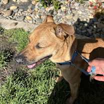 Thumbnail photo of Kiki #4