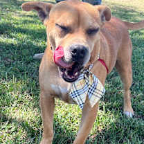 Thumbnail photo of Debi #3