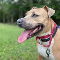 Thumbnail photo of Estelle #3