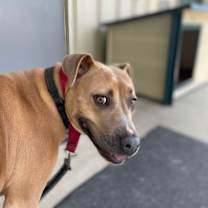 Thumbnail photo of Estelle #4