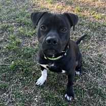 Thumbnail photo of Diesel Patino #2