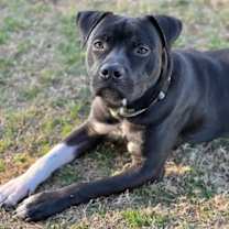 Thumbnail photo of Diesel Patino #3
