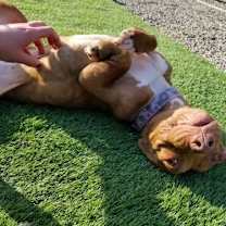 Thumbnail photo of Janey Rico #3