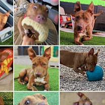 Thumbnail photo of Janey Rico #4