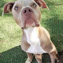 Thumbnail photo of Hanson #2