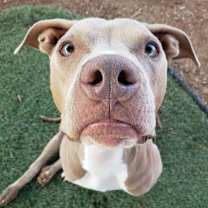 Thumbnail photo of Hanson #3