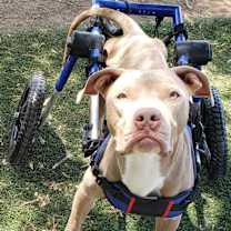 Thumbnail photo of Hanson #4