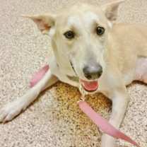 Thumbnail photo of Karma #4