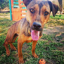 Thumbnail photo of Meeka #2