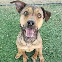 Thumbnail photo of Meeka #3