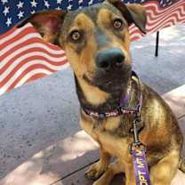 Thumbnail photo of Meeka #4