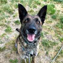 Thumbnail photo of Havana #2