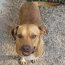 Thumbnail photo of Juliett #2