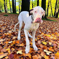 Thumbnail photo of Kacey #1