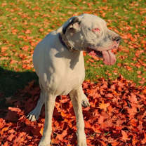 Thumbnail photo of Kacey #2