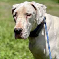 Thumbnail photo of Kacey #4