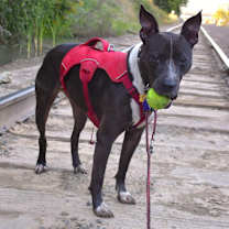 Thumbnail photo of Ella #2