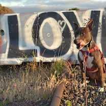 Thumbnail photo of Ella #4