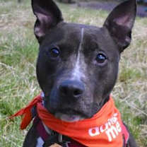 Thumbnail photo of Ella #1