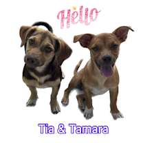 Thumbnail photo of Tia & Tamara #1