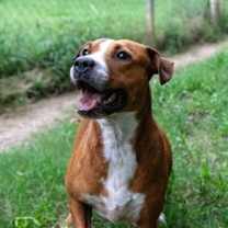 Thumbnail photo of Hope #1