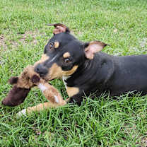 Thumbnail photo of Cray #1