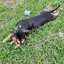 Thumbnail photo of Cray #2